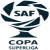Copa de la Superliga